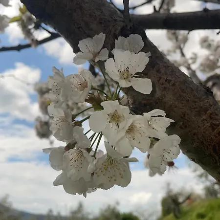 La Finestra Sul Farfa * Bocchignano